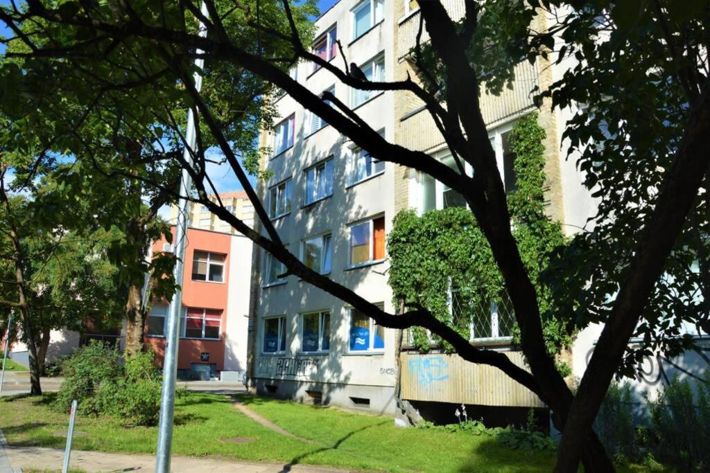 Slucko Central Studio Apartment Near River Vilnius Bagian luar foto